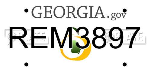 REM3897 Georgia License Plate