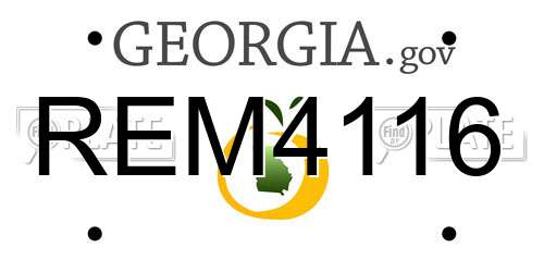 REM4116 Georgia License Plate