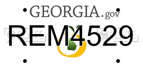 REM4529 Georgia License Plate