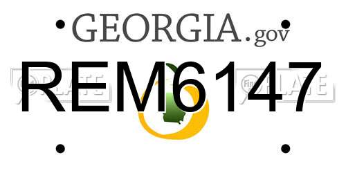REM6147 Georgia License Plate