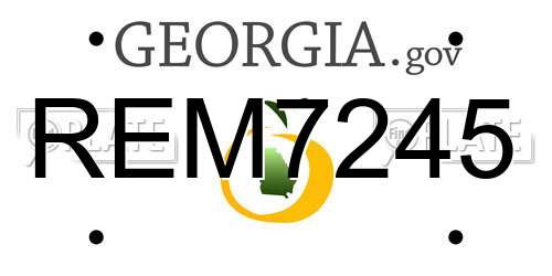REM7245 Georgia License Plate