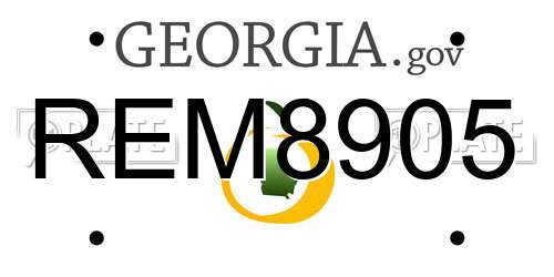 REM8905 Georgia License Plate