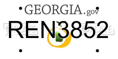 REN3852 Georgia License Plate