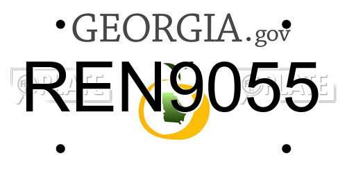 REN9055 Georgia License Plate