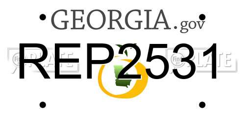 REP2531 Georgia License Plate