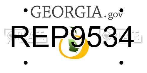 REP9534 Georgia License Plate