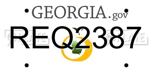 REQ2387 Georgia License Plate