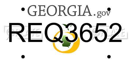 REQ3652 Georgia License Plate