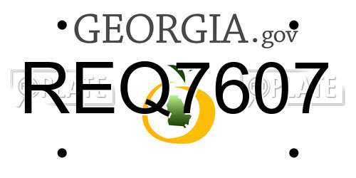 REQ7607 Georgia License Plate
