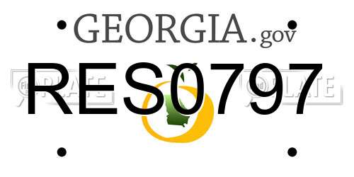 RES0797 Georgia License Plate