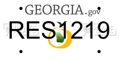 RES1219 Georgia License Plate
