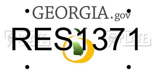 RES1371 Georgia License Plate