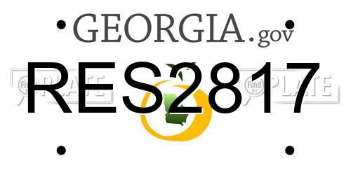 RES2817 Georgia License Plate