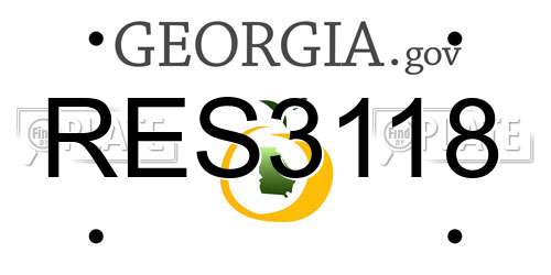 RES3118 Georgia License Plate