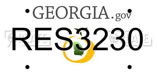 RES3230 Georgia License Plate