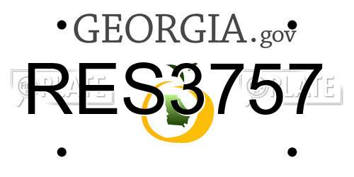 RES3757 Georgia License Plate