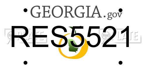 RES5521 Georgia License Plate