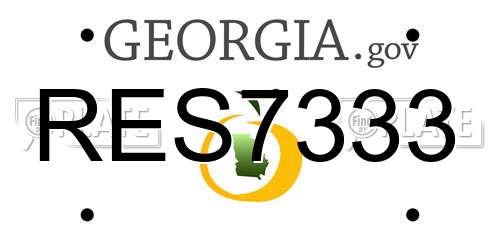 RES7333 Georgia License Plate