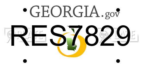 RES7829 Georgia License Plate