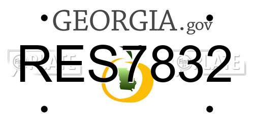 RES7832 Georgia License Plate