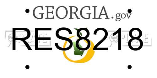 RES8218 Georgia License Plate