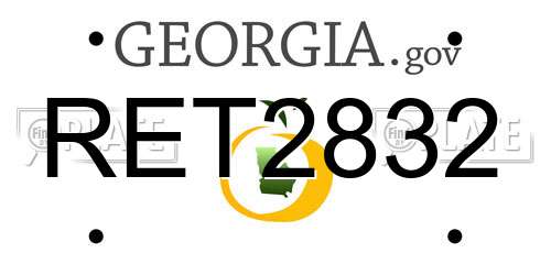 RET2832 Georgia License Plate