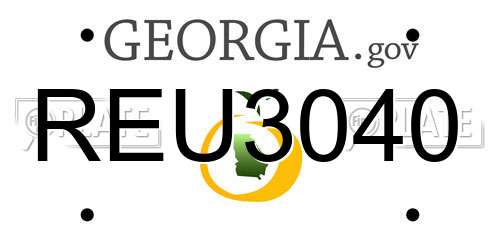 REU3040 Georgia License Plate