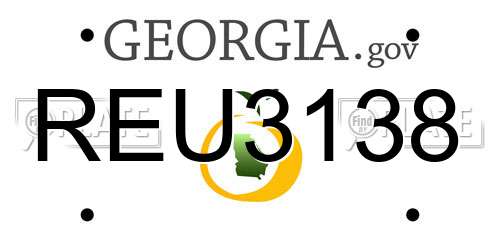 REU3138 Georgia License Plate