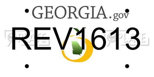 REV1613 Georgia License Plate