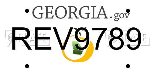 REV9789 Georgia License Plate