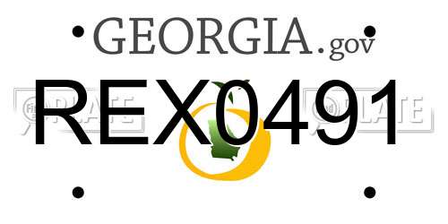 REX0491 Georgia License Plate