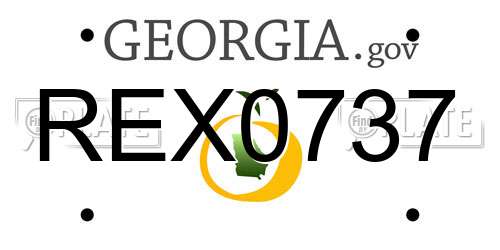 REX0737 Georgia License Plate