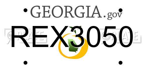 REX3050 Georgia License Plate