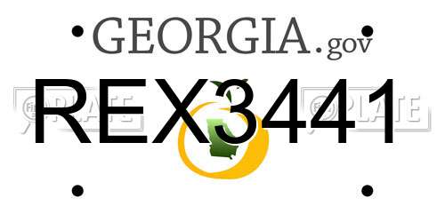 REX3441 Georgia License Plate