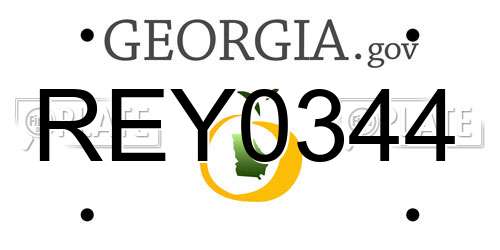 REY0344 Georgia License Plate