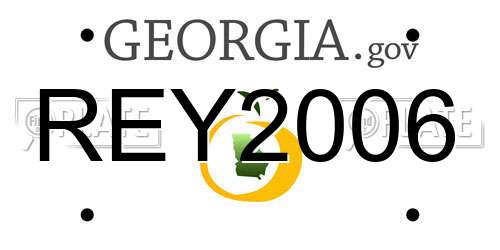 REY2006 Georgia License Plate