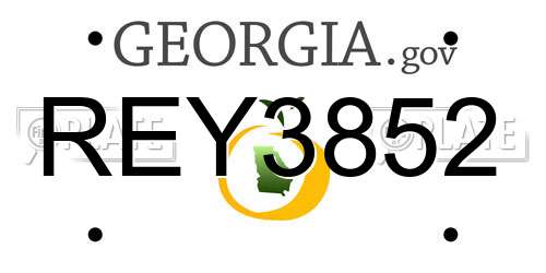 REY3852 Georgia License Plate