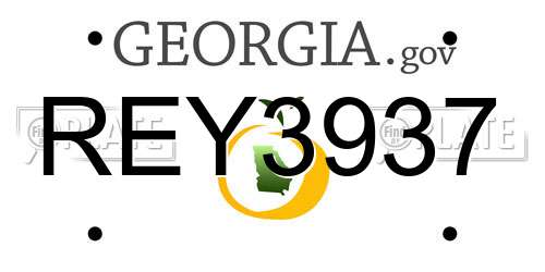 REY3937 Georgia License Plate