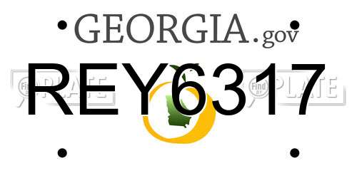 REY6317 Georgia License Plate