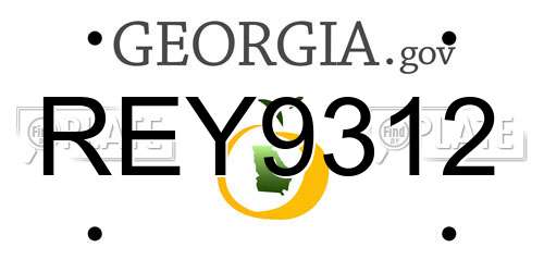 REY9312 Georgia License Plate