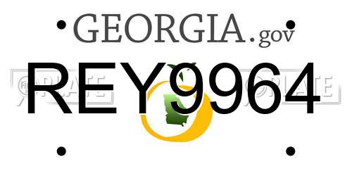 REY9964 Georgia License Plate