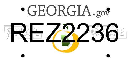 REZ2236 Georgia License Plate