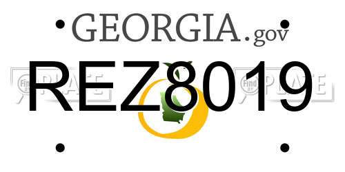 REZ8019 Georgia License Plate