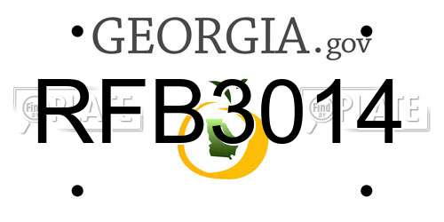 RFB3014 Georgia License Plate