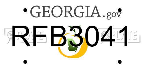 RFB3041 Georgia License Plate