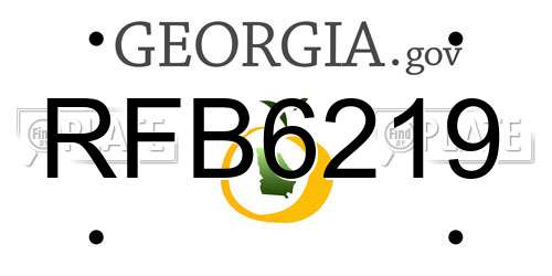 RFB6219 Georgia License Plate