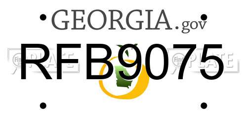 RFB9075 Georgia License Plate