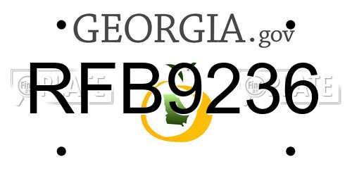 RFB9236 Georgia License Plate