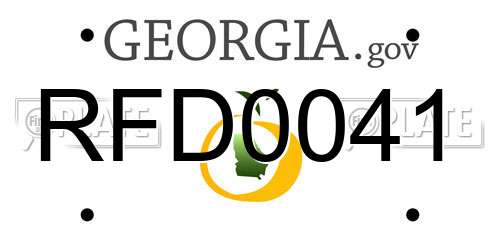 RFD0041 Georgia License Plate