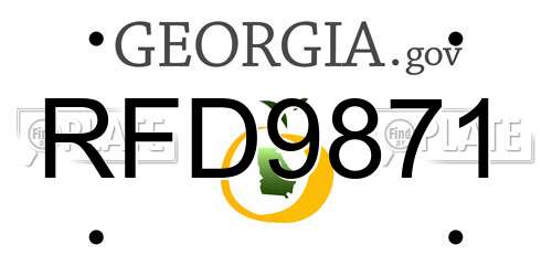 RFD9871 Georgia License Plate